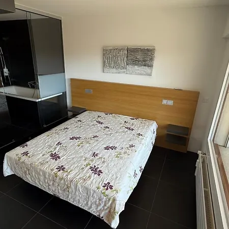Au Centre De Montana Apartmán *